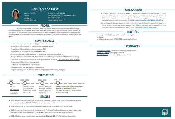 preview CV